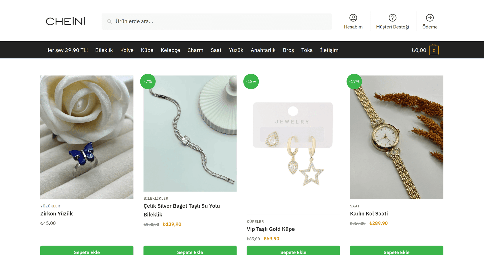 CHEINI website